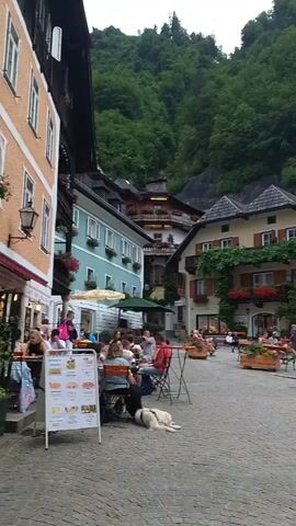The video shows a cobblestone square in a European village, with quaint, multi-story buildings on either side. The buildings are painted in various colors, including pale blue, cream, and yellow, and feature wooden shutters and flower boxes overflowing with red and pink blooms. In the background, a steep, densely forested mountainside rises dramatically. Several outdoor cafe tables and chairs are set up in the square, with a few patrons seated and engaged in conversation or dining. A white dog lies on the cobblestones near one of the tables. A signpost with a menu is visible in the foreground. In the center of the square, a stone fountain topped with a sculpted figure stands prominently, surrounded by steps. More people are seated on the steps of the fountain, and a few individuals are walking through the square. The overall atmosphere appears relaxed and picturesque.