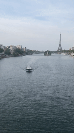 Boat on the Seine with Eiffel Tower on Bastille Day