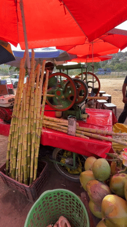 Sugarcane juice vendor operates cart in Chikkarampur, India