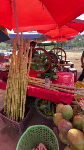 A vendor stand sits under a red umbrella. A sugarcane juice machine is centrally positioned on a red cart, with two large wheels visible. The machine is green with red wheels, and a man is feeding sugarcane into it. Bundles of sugarcane are stacked in a purple basket to the left of the cart, while a pile of coconuts rests in the lower right. A green basket containing what appears to be sliced coconut sits in the lower left. A QR code is visible on the side of the machine. The background shows a dirt field with sparse greenery. The day appears sunny.