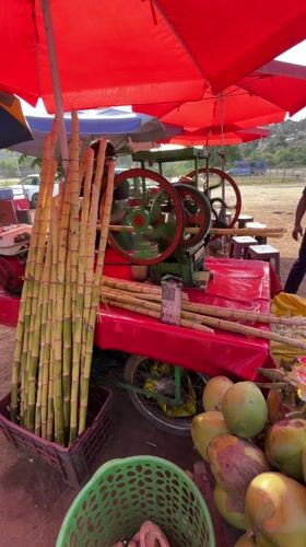 Sugarcane juice vendor operates cart in Chikkarampur, India