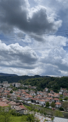 Spring morning captured in Zlatograd: tulips, dog, hillside views