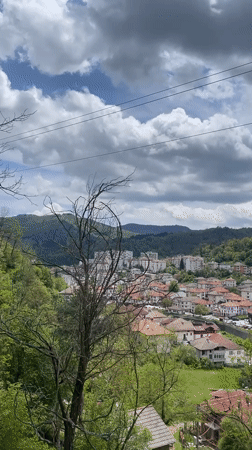 Spring morning captured in Zlatograd: tulips, dog, hillside views