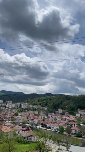 Spring morning captured in Zlatograd: tulips, dog, hillside views