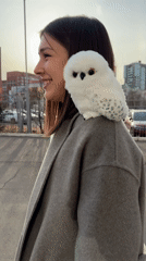Casual moments captured in Krasnoyarsk: woman with owl, mirror selfie