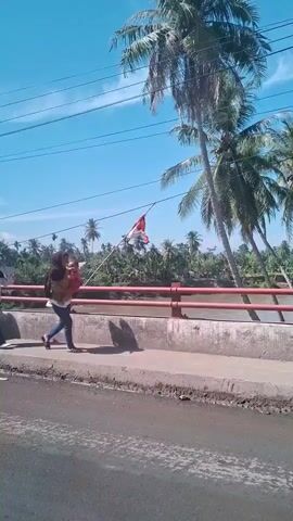 A group of people are walking on a sidewalk next to a road. The sidewalk is bordered by a railing and a body of water. There are palm trees in the background, and the sky is blue. The people are dressed casually. One person is carrying a baby. Another person is waving a flag.