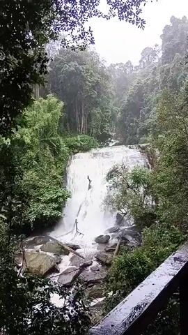 A waterfall cascades down a rocky incline surrounded by lush green foliage. The water is white and frothy as it plunges into a pool below. Trees with dense canopies frame the scene, creating a natural amphitheater. A wooden railing or walkway is visible in the foreground, suggesting a viewing area. The overall impression is one of a serene and natural landscape.