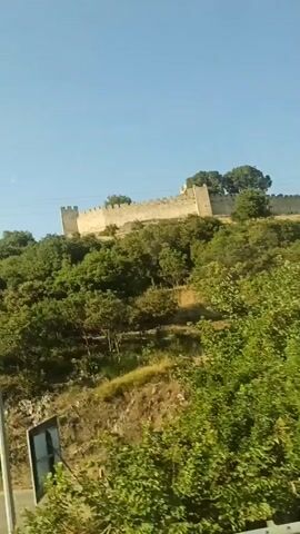 A video shows a stone wall structure on a hillside covered in trees and vegetation. The sky is clear and blue. A street light pole is visible on the left side of the frame. The camera appears to be moving, as the perspective of the hillside and wall changes slightly. There is a small dark object, possibly a sign or a window, on the pole.
