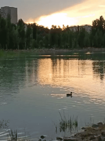 Almaty park at sunset: lake, flowers, and riverside paths