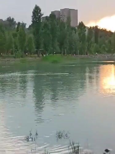 Almaty park at sunset: lake, flowers, and riverside paths