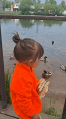 Child feeds ducks and pigeons at Saint Petersburg waterfront park