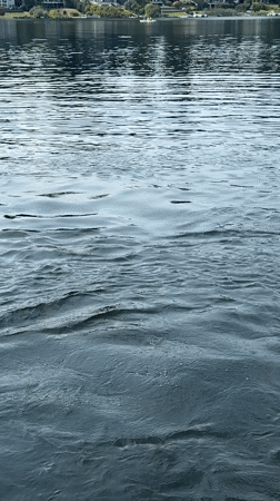 Jumping into Cottage Lake on a summer evening