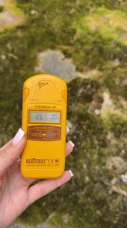 Radiation monitoring documented inside Chernobyl cooling tower