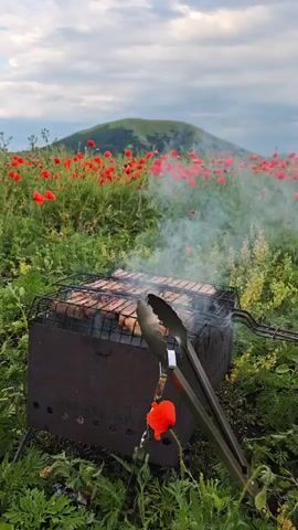 A portable charcoal grill with meat cooking on its grate is positioned in a field of red poppies. Tongs are resting on the grill. A plume of smoke rises from the grill. In the background, a green hill is visible behind the poppies under a cloudy sky. The foreground consists of green grass and foliage.
