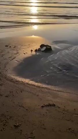 The video shows a beach at sunset. The sun reflects brightly on the water, creating a horizontal line of light across the scene. Gentle waves are visible in the background. In the foreground, wet sand reflects the sky's colors. There's a small rock or piece of debris partially submerged in the sand. The water gently flows around it, creating small ripples and patterns in the wet sand. The overall scene is peaceful and serene.