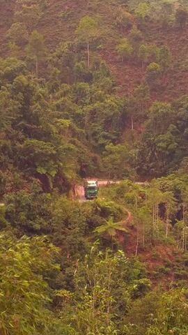 This vertical shot captures a lush, verdant, mountainous landscape in Nậm Dịch Commune, Vietnam. The scene is dominated by dense, tropical or subtropical vegetation, including numerous trees, ferns, and bamboo-like plants that cover the undulating terrain.

The primary subject is a bright green truck, which appears to be a medium-duty cargo vehicle, possibly a flatbed fitted with high, slatted side rails, indicating it might be used for transporting goods or livestock. A red light is visible on the roof of its cab. Faint white text or a logo is present on the front grille of the truck, but it is too small to be legibly identified.

The truck is situated on a winding road that cuts through the steep, forested hills. The road surface appears to be paved. The perspective is from an elevated vantage point, looking down into a valley or along a mountainside, showcasing the vehicle as it navigates a bend in the road amidst the rich greenery.

The time of day is daylight, characterized by soft, diffused lighting, suggesting either an overcast sky or an early morning/late afternoon hour. There are no visible people. The atmosphere conveyed is one of natural beauty and remoteness, with the man-made road and truck serving as a contrast to the dense wilderness. Patches of reddish-brown earth are visible between clusters of trees on the slopes.