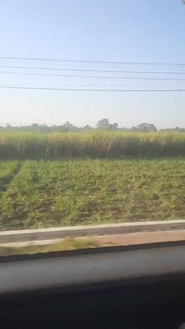 The video is a first-person perspective shot from a vehicle, likely a car or train. It shows a blur of green fields and trees passing by, indicating movement. The sky is bright and appears to be a clear day. The focus is on the passing landscape, suggesting a journey through a rural or agricultural area. There are no people or discernible objects within the vehicle visible in the frame. The shot is taken at a slight angle, giving a sense of motion and depth.