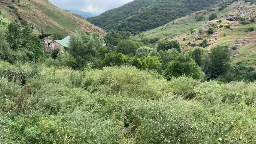 The video shows a scenic view of a lush green valley with rolling hills and dense vegetation. In the foreground, there is a thick growth of wild plants, including tall grasses and shrubs with small pink flowers. As the view extends into the middle ground, a cluster of trees with vibrant green foliage can be seen, forming a dense canopy. Nestled among the trees, on the left side of the valley, is a small building with a green roof and stone walls, appearing somewhat aged. The background is dominated by the majestic, tree-covered slopes of the valley walls, with patches of exposed rock on the right. The sky above is partly cloudy, with white clouds scattered across a light blue expanse. The overall impression is one of a tranquil, natural landscape, possibly a rural or secluded area.