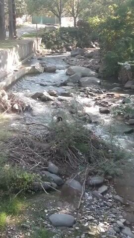 The video shows a natural stream flowing over rocks and through foliage. The water appears clear and is moving at a moderate pace. The banks of the stream are lined with stones, branches, and vegetation. Sunlight filters through the trees, casting dappled shadows on the water and surrounding area. There are no people or animals visible in the video. The overall scene depicts a peaceful, outdoor environment.