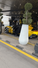 Luxury car gathering documented across Sofia locations