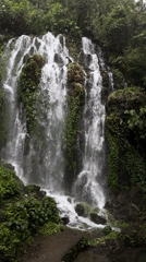 Waterfall documented flowing through lush vegetation in Sukasada, Indonesia