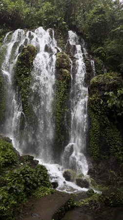 Waterfall documented flowing through lush vegetation in Sukasada, Indonesia