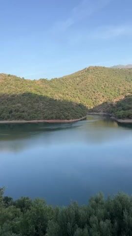A vertical shot captures a calm, blue lake nestled between tree-covered hills. The sun casts dappled shadows on the lush greenery that slopes down to the water's edge. The sky above is clear and blue, with a few wispy clouds. In the foreground, the tops of green trees are visible, suggesting the viewer is looking down from a slightly elevated position. The water reflects the blue of the sky and the green of the hills, creating a serene and natural landscape.