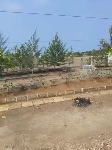 The video shows an outdoor scene with vegetation and a clear sky. The camera appears to be moving, offering a panning view of the environment. In the foreground, there is a dirt path or road with a concrete curb. Behind the curb, there is a landscaped area with brown soil, small plants, and some larger trees. Some of these trees appear to be palm trees and pine trees. In the background, there are more trees, a light-colored structure that might be a sign or building, and a distant view of what looks like a beach or sandy area with the ocean. The overall impression is a coastal or seaside location with some developed landscaping.
