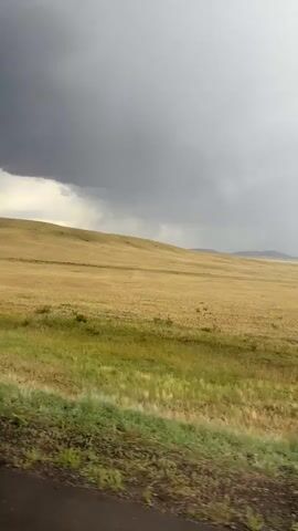 A vast, undulating landscape of dry yellow grass and green patches stretches towards a distant line of hazy mountains. The sky is dominated by heavy, dark grey storm clouds, with a lighter grey diffused light showing on the right side. The camera appears to be moving, likely from a vehicle, as indicated by the blurred foreground of dark soil and vegetation. The scene is devoid of any people or discernable structures, emphasizing the natural, undeveloped environment. The overall atmosphere is one of an approaching storm.