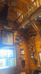 Inside Bass Pro Shops Delta, with fish tanks and trophy decor