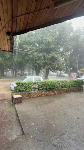 A heavy rainstorm is captured from under a wooden awning. Water streams off the left side of the roof. The foreground is a wet concrete or asphalt surface with small green leaves scattered across it. A green hedge atop a stone wall spans the middle ground. Beyond the hedge is a wet street with a white car parked. In the background, numerous lush green trees are visible, and to the right, a structure with a yellow and blue soda machine stands. Rain is visibly falling, creating ripples and splashes on the ground.
