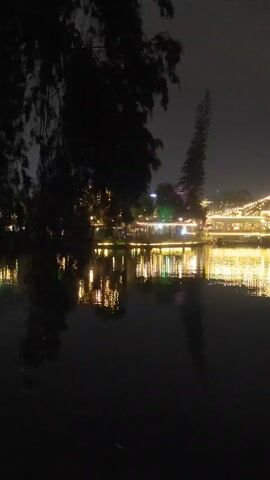 The video shows a nighttime view of a body of water reflecting lights from a building on the opposite shore. The lights appear as strings and individual points, creating a shimmering effect on the water. The foreground features the silhouetted branches of a tree, partially obscuring the view. The overall atmosphere is dark and still.