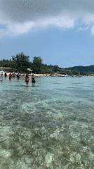 Early morning scenes captured on Ko Samui beaches and gardens