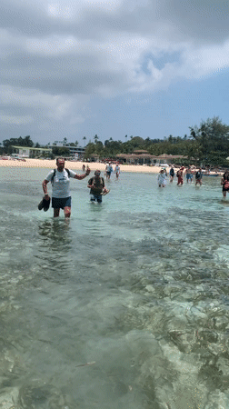 Early morning scenes captured on Ko Samui beaches and gardens