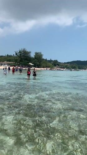 Early morning scenes captured on Ko Samui beaches and gardens