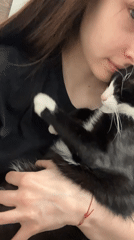 Evening at home: cat cuddles and gaming in Saint Petersburg