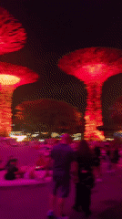 Gardens by the Bay Supertrees shine in colorful nighttime display