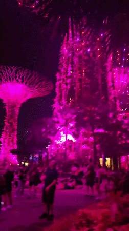 Gardens by the Bay Supertrees shine in colorful nighttime display