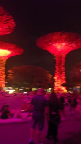 Gardens by the Bay Supertrees shine in colorful nighttime display