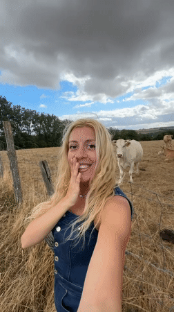 Up close with a resting herd on a French farm field