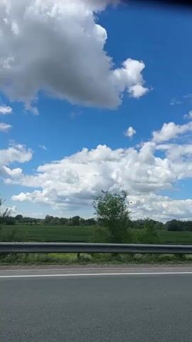 A vertical video shows a passing view of a roadside landscape under a partly cloudy blue sky. In the foreground, a gray asphalt road is visible. A metal guardrail runs along the edge of the road, separating it from a grassy area. Beyond the grass, a line of trees and bushes stretches across the middle ground, with some taller trees dominating the view at different points. The background consists of a field with some distant vegetation and a vast sky filled with white, puffy clouds against a bright blue backdrop. The camera appears to be moving, suggesting the footage was captured from a vehicle. No people or specific actions are discernible.
