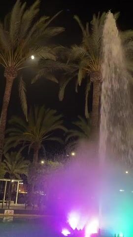 The video shows a fountain at night. Palm trees are visible in the background, and the water of the fountain is illuminated with colorful lights, primarily purple and pink. There is also a bright white light illuminating the top portion of the fountain's spray. The lighting suggests an artificial environment, possibly a park or public space. There are no people visible in the frame.