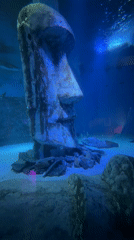 London aquarium visit captures marine exhibits and interactive displays