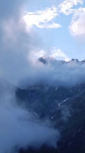 Himalayan pass life: shrines, fog, cattle, and grazing horses