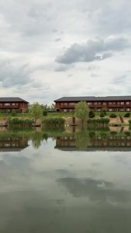 The video presents a static shot of a scenic view featuring two matching two-story buildings with wooden exteriors and dark roofs, reflected in the calm waters of a lake or pond. The buildings are situated on the edge of the water, separated by a grassy area dotted with small trees and greenery. Along the water's edge, there's dense vegetation, including tall reeds. 

As the camera zooms in, it focuses on a small wooden dock and a bench located near the edge of the water. Two white swans are seen swimming in the water near the reeds and the dock. The sky overhead is cloudy, contributing to an overall gray and tranquil ambiance.