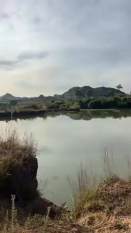 The video shows a still, calm body of water, possibly a lake or pond, reflecting the cloudy sky above. The banks are earthen and sparsely covered with vegetation, including clumps of grass and small bushes. In the background, there is a gently sloping hill or low mountain covered with trees and shrubbery, further enhancing the natural setting. The overall impression is one of tranquility and rural scenery.