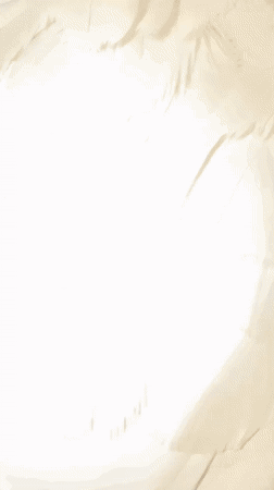 Pet cockatoo preens during soccer match in Tangier home