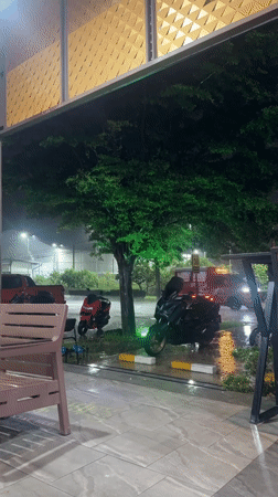 Rainy night in Choeng Thale, motorcycles parked, green-lit tree glowing