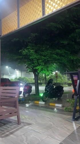 Rainy night in Choeng Thale, motorcycles parked, green-lit tree glowing