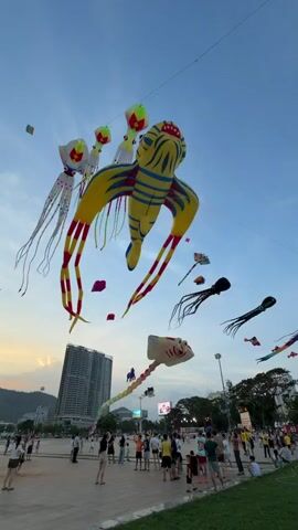 This video captures a vibrant kite festival taking place in Quy Nhon Ward, Vietnam. The sky is filled with an array of colorful and creatively designed kites, predominantly shaped like marine life. A large yellow and blue octopus-like kite dominates the upper portion of the frame, its tentacles trailing elegantly. Other kites include what appear to be jellyfish with long, flowing streamers and a stingray kite with intricate red markings. Smaller, more traditional kites are also visible, adding to the aerial spectacle.

Below the kites, a lively crowd of people has gathered in a large open plaza. They are observing the kites, many pointing upwards and enjoying the event. The atmosphere appears festive and relaxed. Families and individuals are scattered across the paved area, with some children visible amongst the adults. The ground is a mix of paving stones and grassy areas.

In the background, a tall, modern building stands prominently, suggesting an urban setting. The time of day appears to be late afternoon or early evening, as evidenced by the warm, golden glow of the sunset illuminating the horizon behind the hills and city skyline. The sky itself is a clear, soft blue, indicating fair weather. The overall impression is one of community enjoyment and a celebration of artistry and outdoor activity against a beautiful coastal backdrop. No visible text is present in the video.
